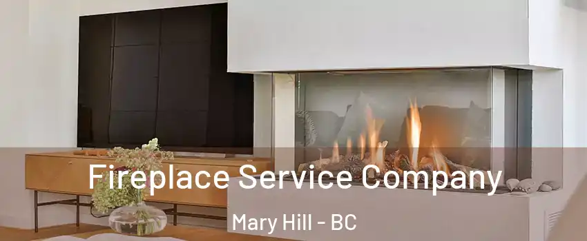 Fireplace Service Company Mary Hill - BC