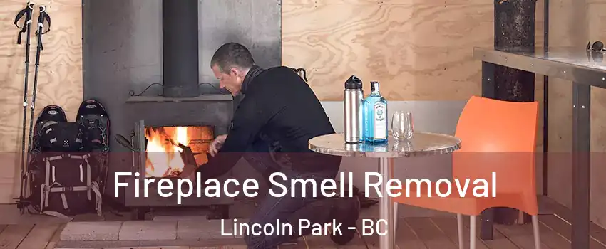  Fireplace Smell Removal Lincoln Park - BC