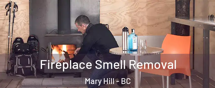  Fireplace Smell Removal Mary Hill - BC