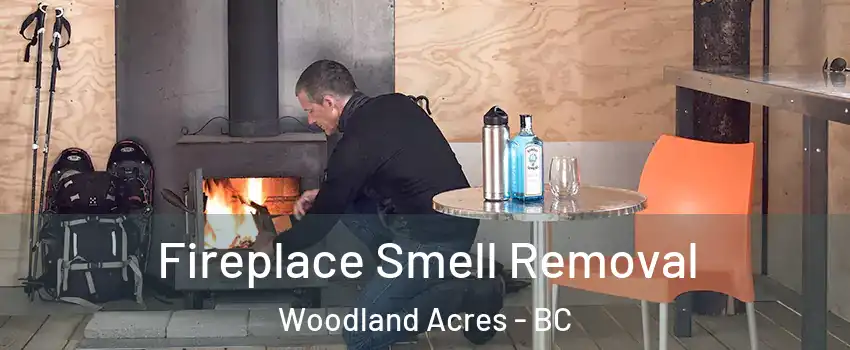  Fireplace Smell Removal Woodland Acres - BC