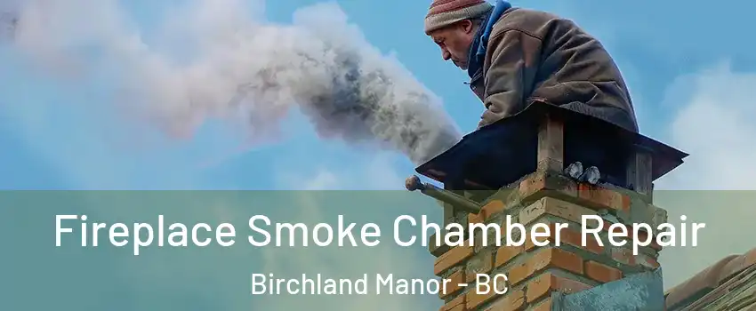  Fireplace Smoke Chamber Repair Birchland Manor - BC