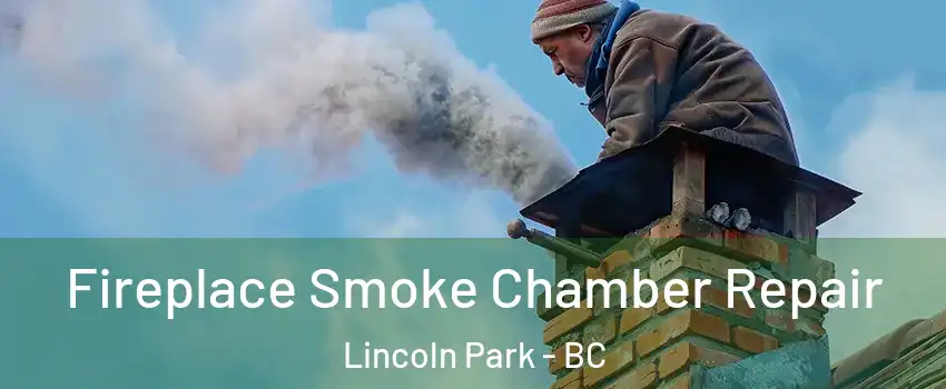  Fireplace Smoke Chamber Repair Lincoln Park - BC