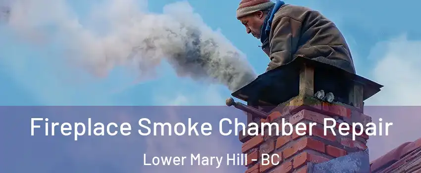  Fireplace Smoke Chamber Repair Lower Mary Hill - BC