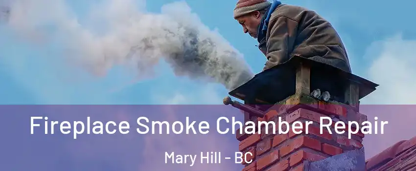  Fireplace Smoke Chamber Repair Mary Hill - BC