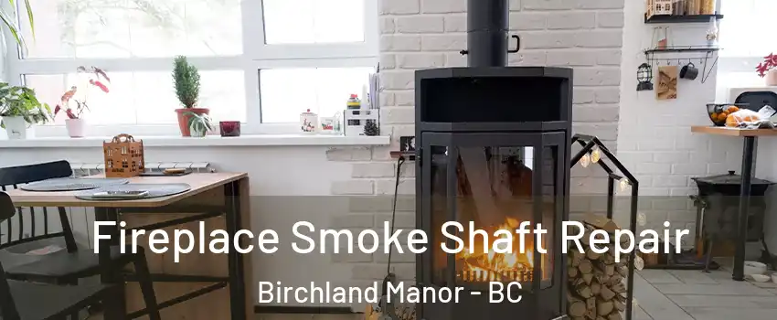  Fireplace Smoke Shaft Repair Birchland Manor - BC