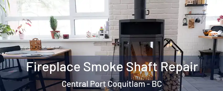  Fireplace Smoke Shaft Repair Central Port Coquitlam - BC