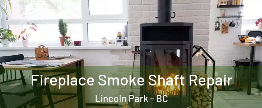  Fireplace Smoke Shaft Repair Lincoln Park - BC