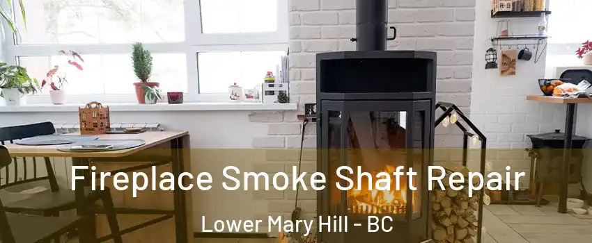  Fireplace Smoke Shaft Repair Lower Mary Hill - BC