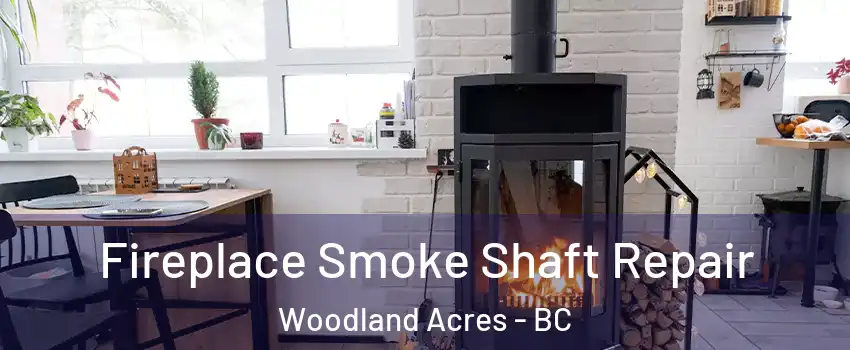  Fireplace Smoke Shaft Repair Woodland Acres - BC