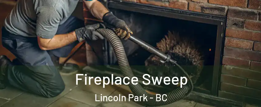  Fireplace Sweep Lincoln Park - BC