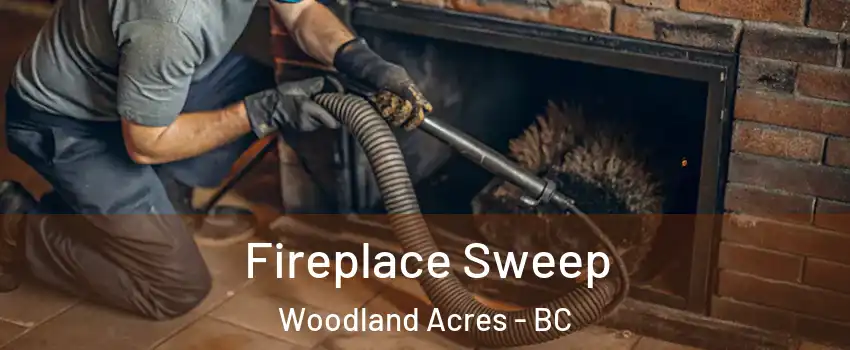  Fireplace Sweep Woodland Acres - BC