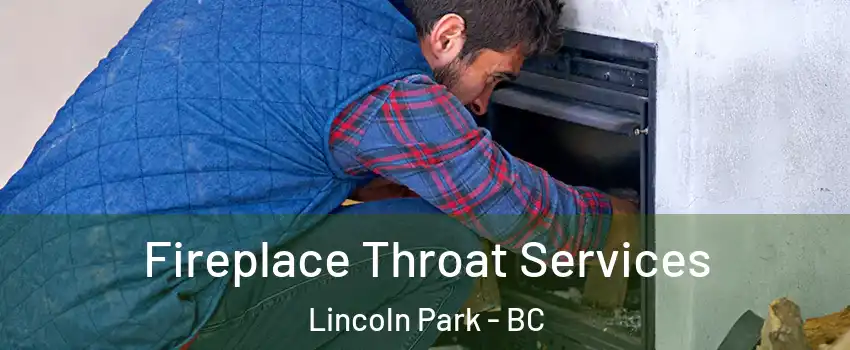  Fireplace Throat Services Lincoln Park - BC
