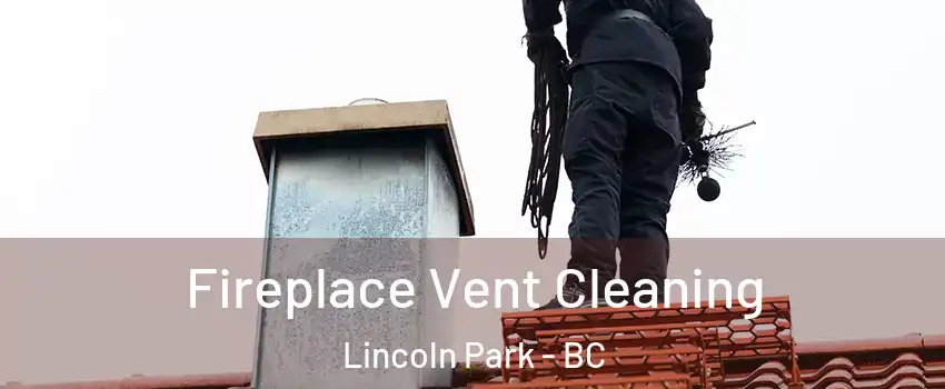  Fireplace Vent Cleaning Lincoln Park - BC