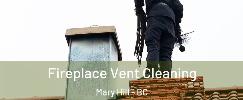  Fireplace Vent Cleaning Mary Hill - BC