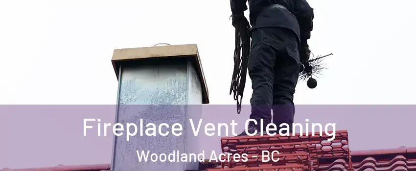  Fireplace Vent Cleaning Woodland Acres - BC