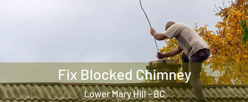  Fix Blocked Chimney Lower Mary Hill - BC
