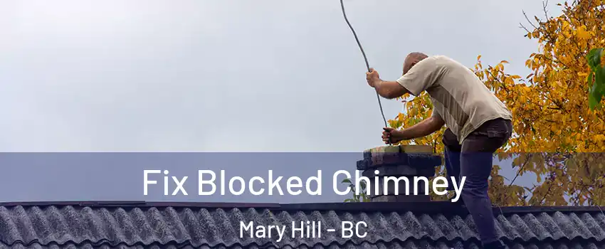  Fix Blocked Chimney Mary Hill - BC