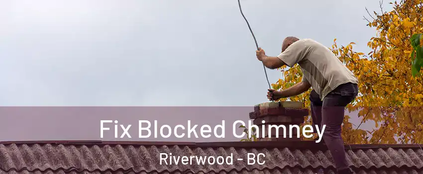  Fix Blocked Chimney Riverwood - BC