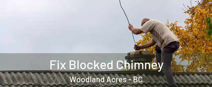  Fix Blocked Chimney Woodland Acres - BC