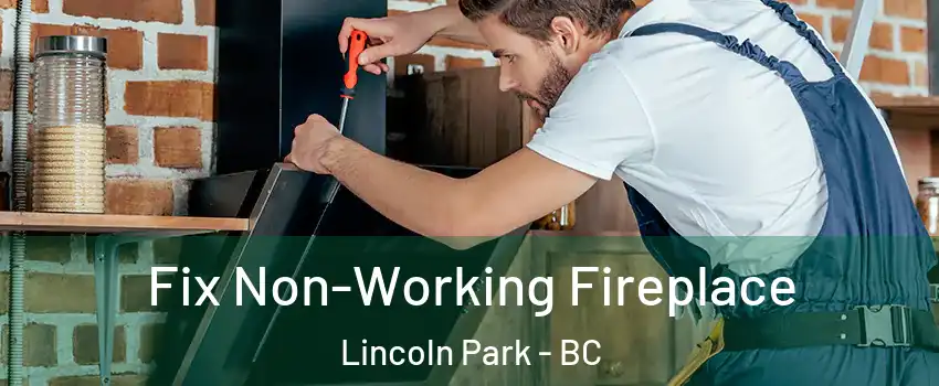  Fix Non-Working Fireplace Lincoln Park - BC