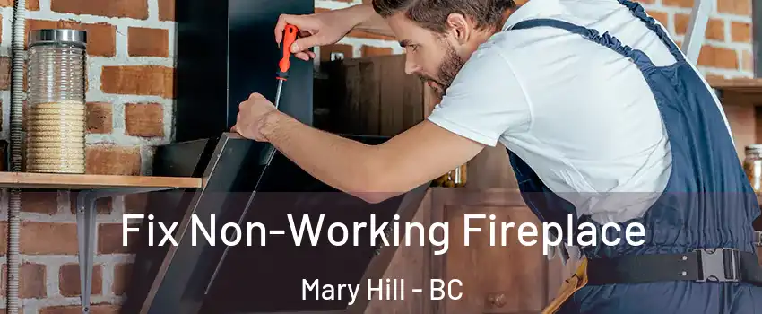  Fix Non-Working Fireplace Mary Hill - BC