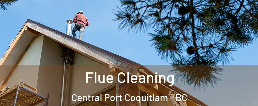  Flue Cleaning Central Port Coquitlam - BC