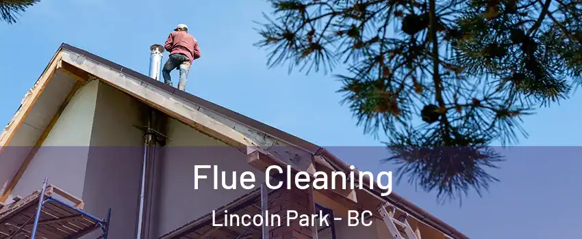  Flue Cleaning Lincoln Park - BC