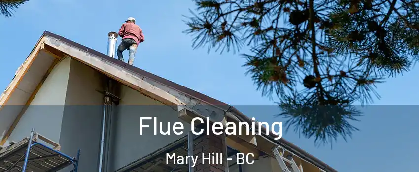  Flue Cleaning Mary Hill - BC