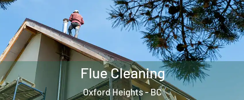  Flue Cleaning Oxford Heights - BC