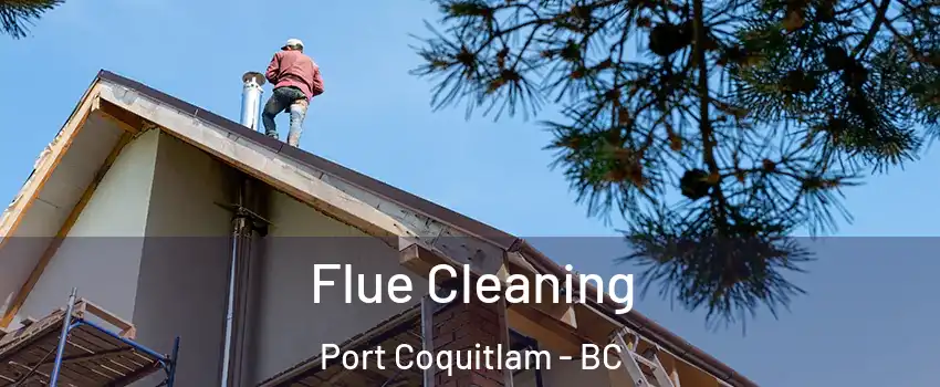  Flue Cleaning Port Coquitlam - BC