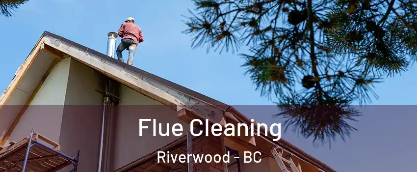  Flue Cleaning Riverwood - BC