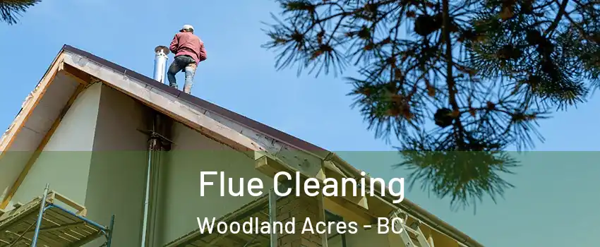  Flue Cleaning Woodland Acres - BC