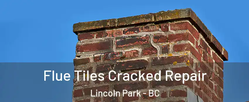  Flue Tiles Cracked Repair Lincoln Park - BC