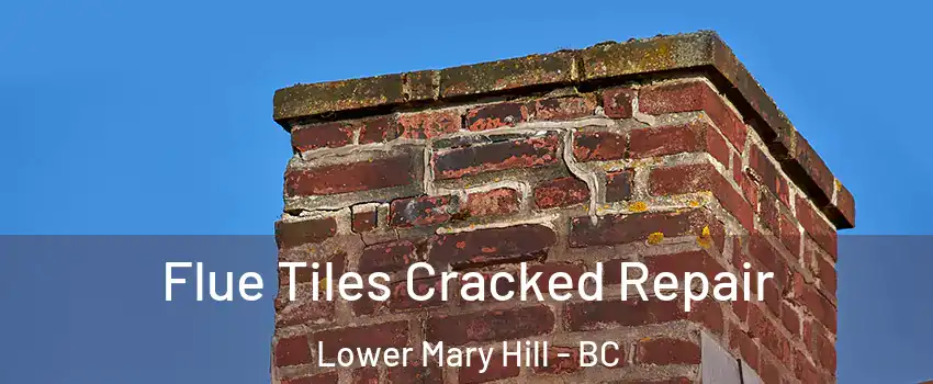  Flue Tiles Cracked Repair Lower Mary Hill - BC