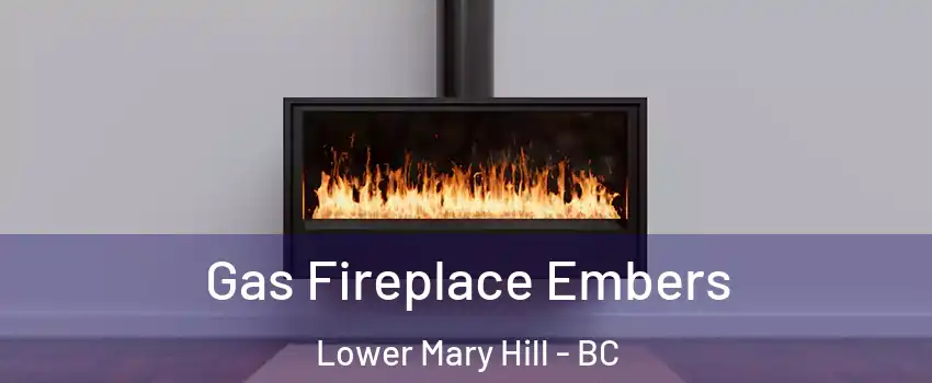  Gas Fireplace Embers Lower Mary Hill - BC
