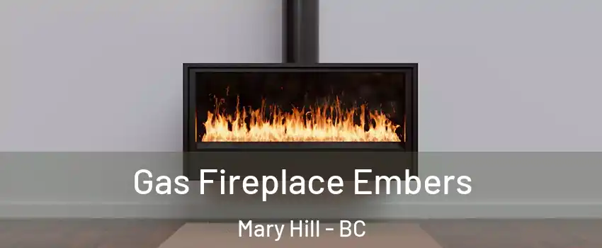 Gas Fireplace Embers Mary Hill - BC