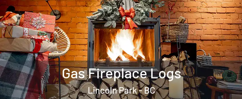  Gas Fireplace Logs Lincoln Park - BC