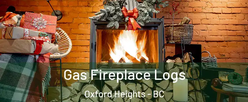  Gas Fireplace Logs Oxford Heights - BC