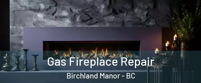  Gas Fireplace Repair Birchland Manor - BC