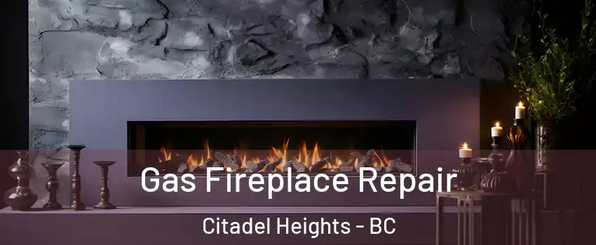  Gas Fireplace Repair Citadel Heights - BC