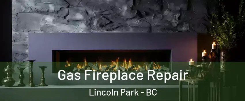  Gas Fireplace Repair Lincoln Park - BC