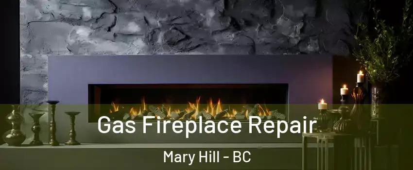  Gas Fireplace Repair Mary Hill - BC