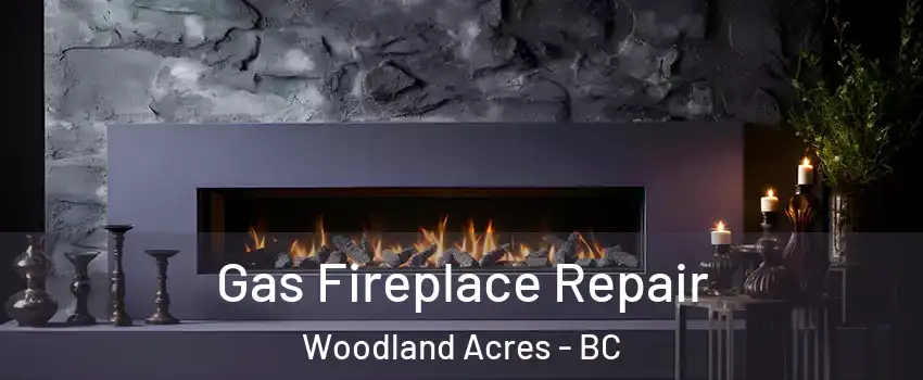  Gas Fireplace Repair Woodland Acres - BC
