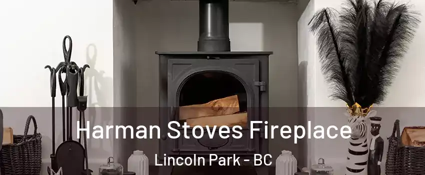  Harman Stoves Fireplace Lincoln Park - BC