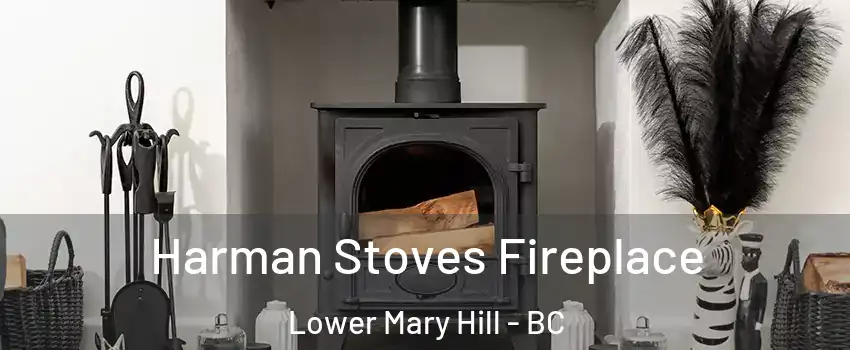  Harman Stoves Fireplace Lower Mary Hill - BC