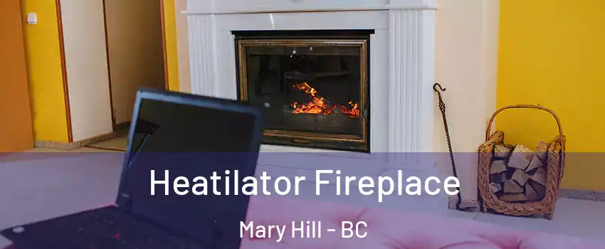  Heatilator Fireplace Mary Hill - BC