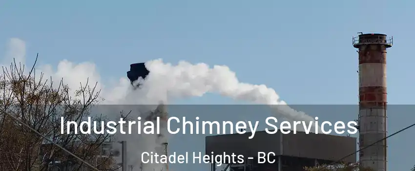 Industrial Chimney Services Citadel Heights - BC