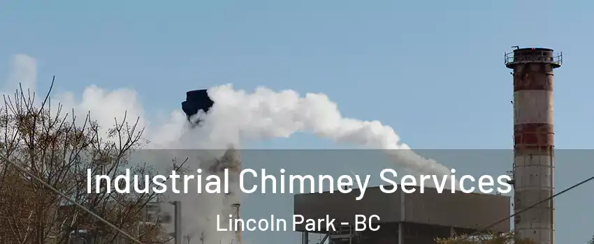  Industrial Chimney Services Lincoln Park - BC