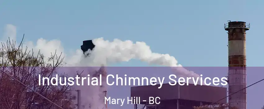  Industrial Chimney Services Mary Hill - BC