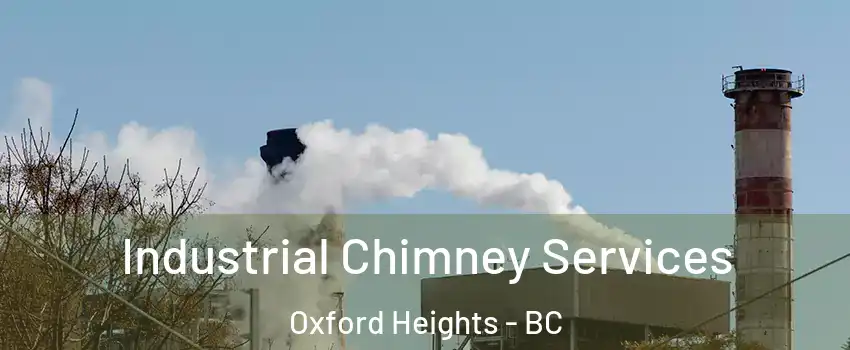  Industrial Chimney Services Oxford Heights - BC